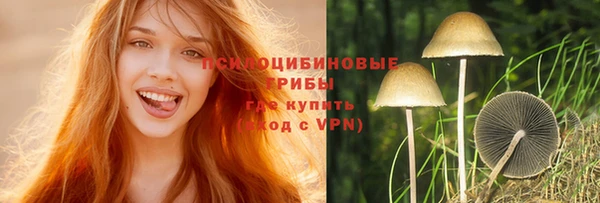 МДМА Горнозаводск