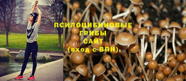 скорость Горно-Алтайск