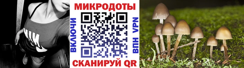 Галлюциногенные грибы мухоморы  Задонск 